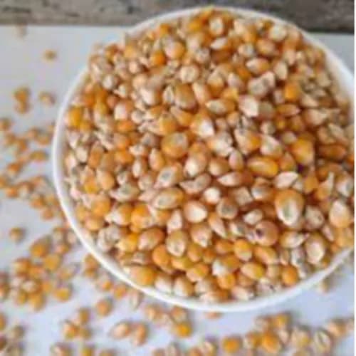 Kerala Foods Popcorn Seeds 500G