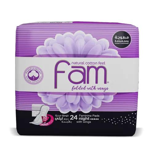 Fam Folded Night Pads With Wings 24 Per Pack