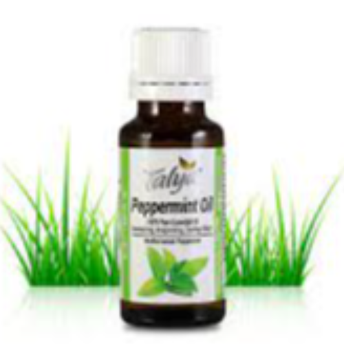 Talya Peppermint Oil 50Ml