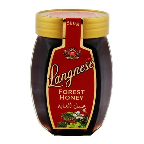 Langnese Forest Honey 500G