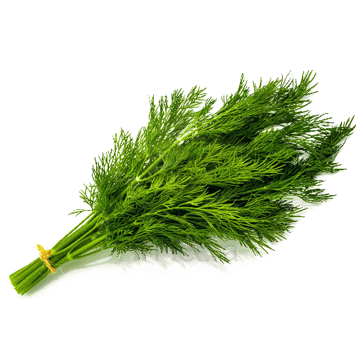 Dill Farms Qatar Approx 200G