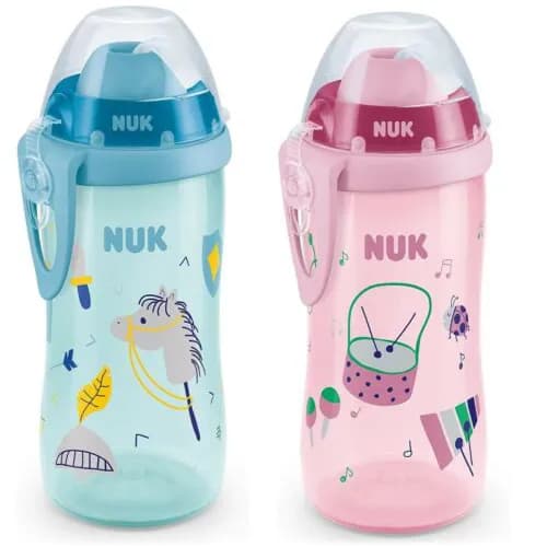 Nuk Fc + Btl Wtp Pp 300Ml Si 1 M Ine Box