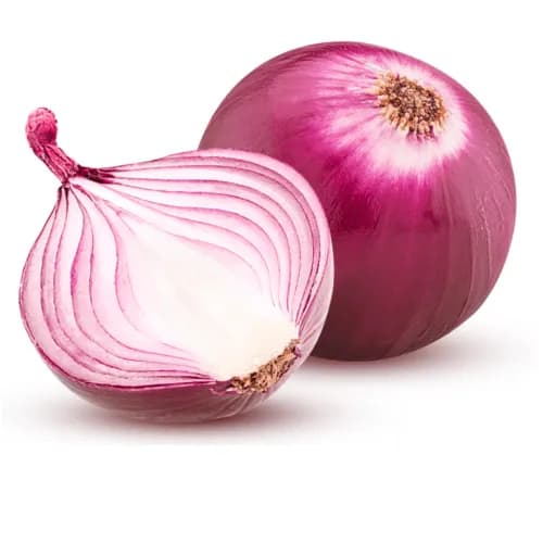 Onion