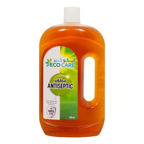 Eco Care Antiseptic & Disinfectant Liquid 750 Ml