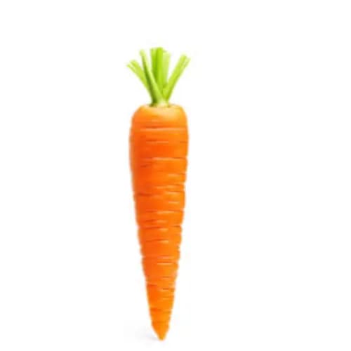 Carrot