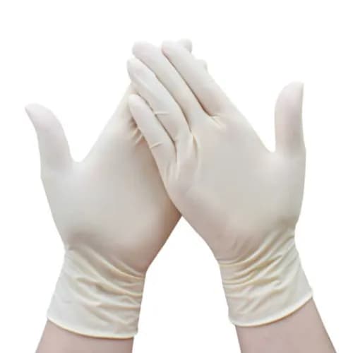 Sara Gloves Latex Exam 100S [P-L]