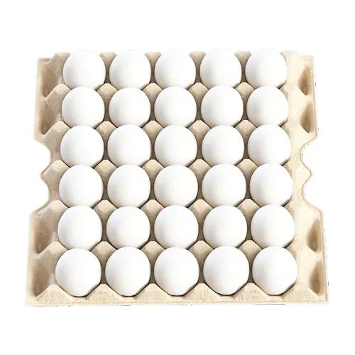 Qatari Fresh White Eggs Medium 30S