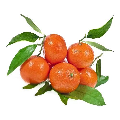 Clementine With Leaves Spain 1Kg