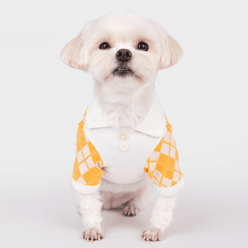 Olchi Argyle Polo T-Shirt / Yellow Extra Large