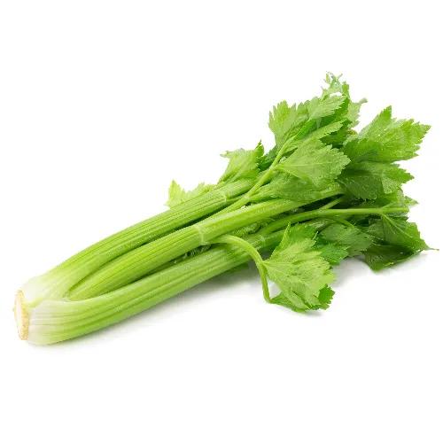 Celery 500 G