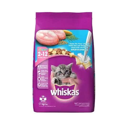 Whiskas Junior Cat Food with Milk Ocean Fish Flavor (2-12 Months) 1.1 kg