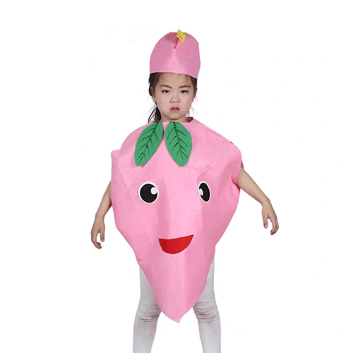 Fancy Dress- -Peache