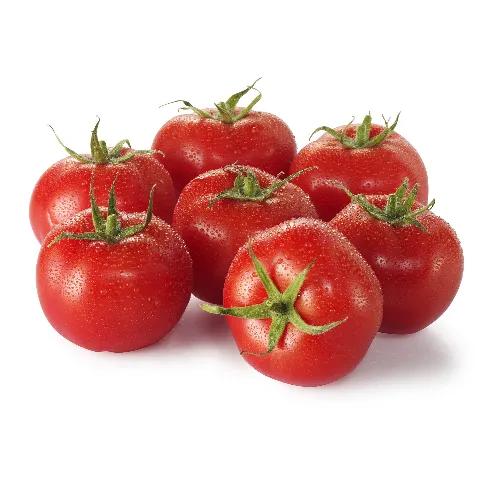 Tomato 500 G