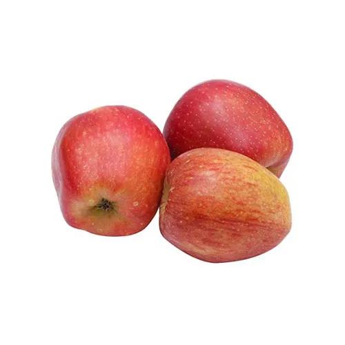 Kashmir Apple Kullu India 1Kg