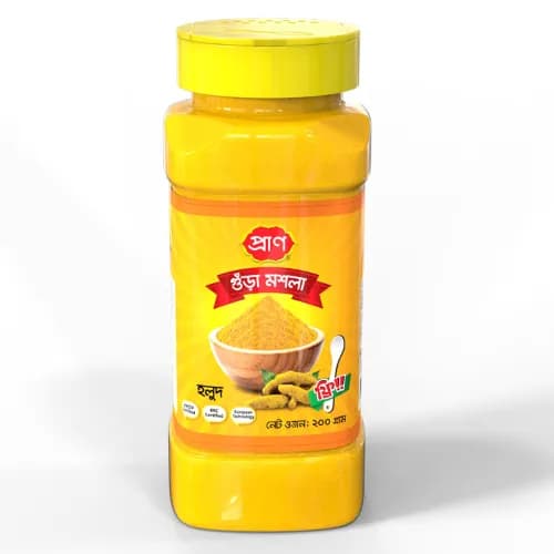 Pran Turmeric Spice Powder 400 gr