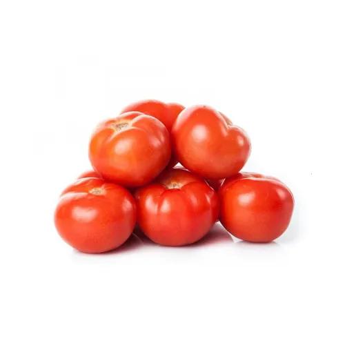 Tomato Premium Qatar 1Kg