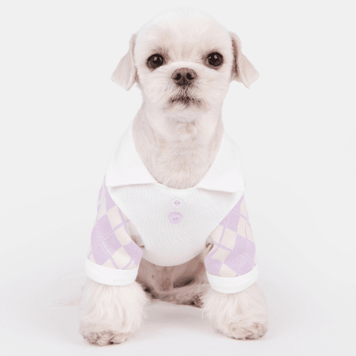 Olchi Argyle Polo T-Shirt /Purple Extra Large