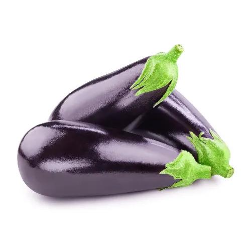 Premium Eggplant Big Qatar 1Pkt