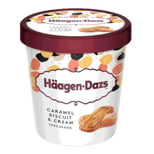 Haagen Dazs Ice Cream Dulce De Leche 460Ml