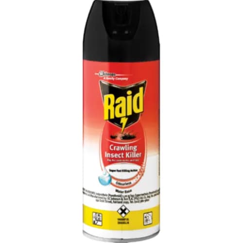 Raid Water Based Crawling Insect Killer 300 ml