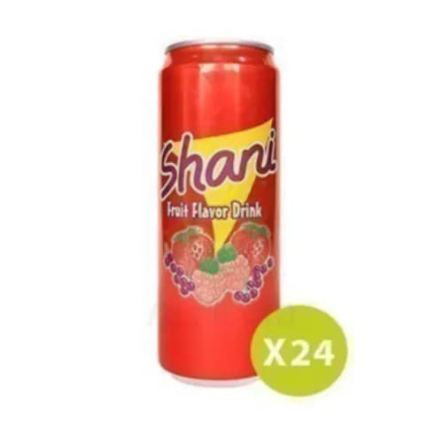 Shani Can 24x330 Ml