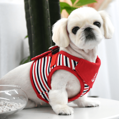 Seaman Harness Red Extra Large