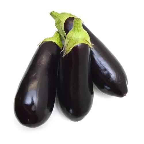 Premium Eggplant Long Qatar 1Pkt