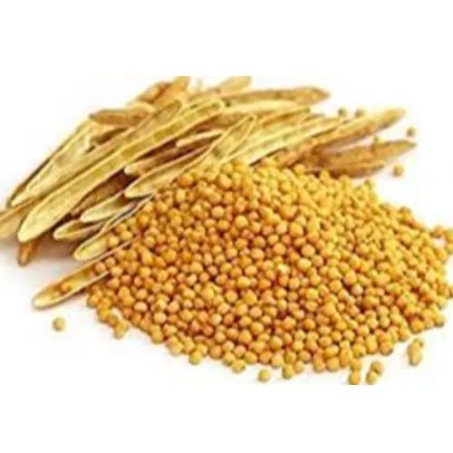 Chittulli Spices Yellow Mustard Seeds India 200 Gr