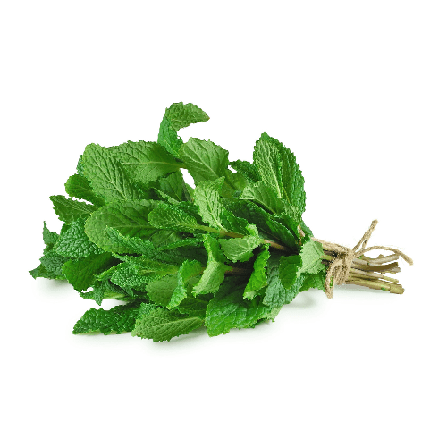 Mint Leaves Qatar 150G
