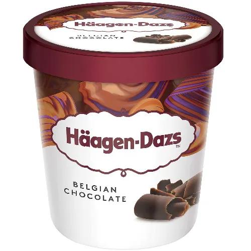 Haagen-Dazs Ice Cream Belgian Chocolate 460Ml