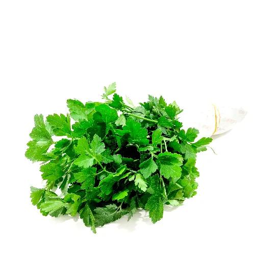 Parsley Jordan Bunch