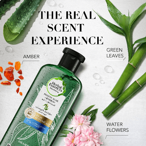 Herbal Essences Hair Strengthening Sulfate Free Potent Aloe Vera + Bamboo Natural Shampoo For Dry Hair 400ml