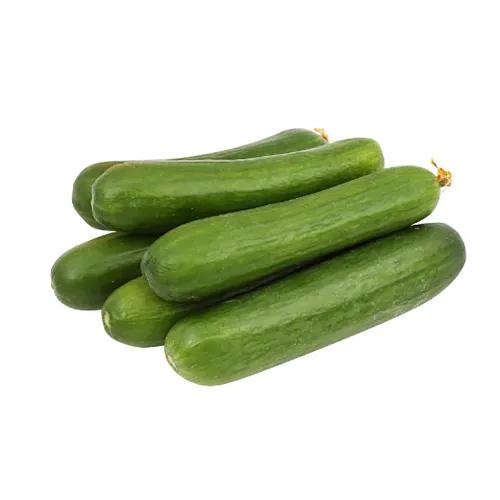 Organic Cucumber 1 Kg