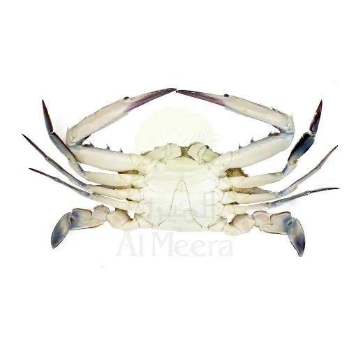 Qbakb Hilani (Male Crab ) Medium _Approx 1Kg