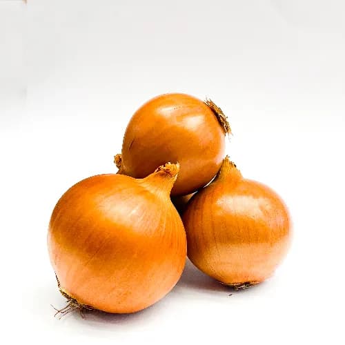 Brown Onion Spain 1kg