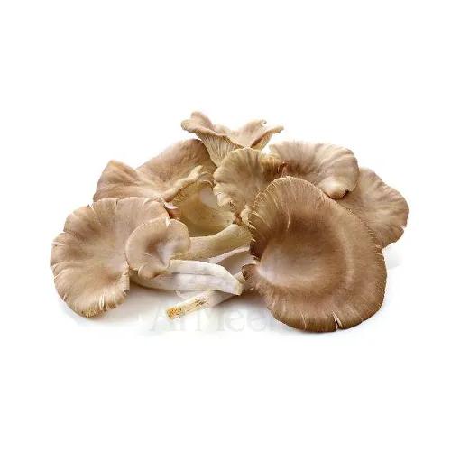 Oyster Mushroom Approx 1Kg