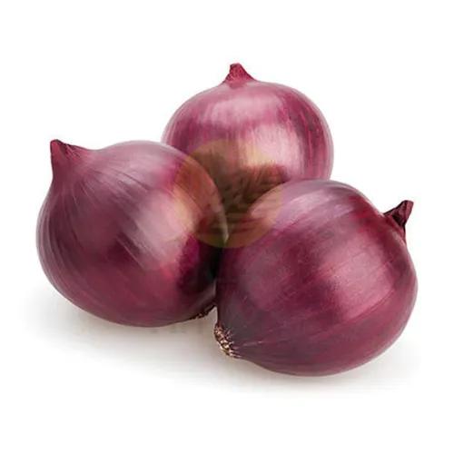 Onion Red China Approx 1Kg