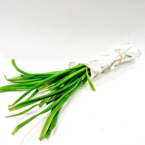 Lama Green Onion Bunch Lebanon