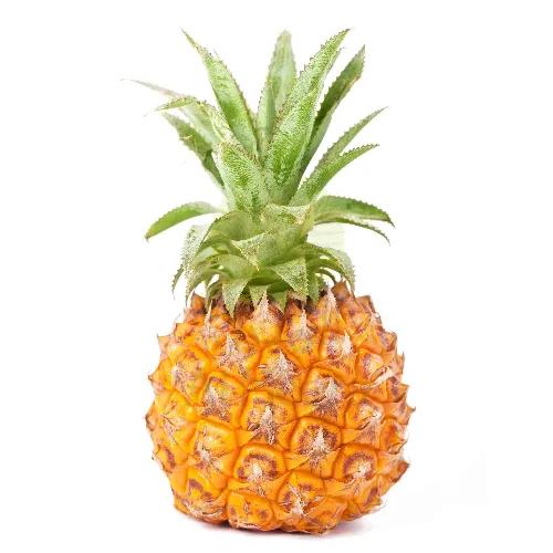 Pineapple Baby Approx 1kg