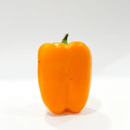 Capsicum Orange Jordan 1kg