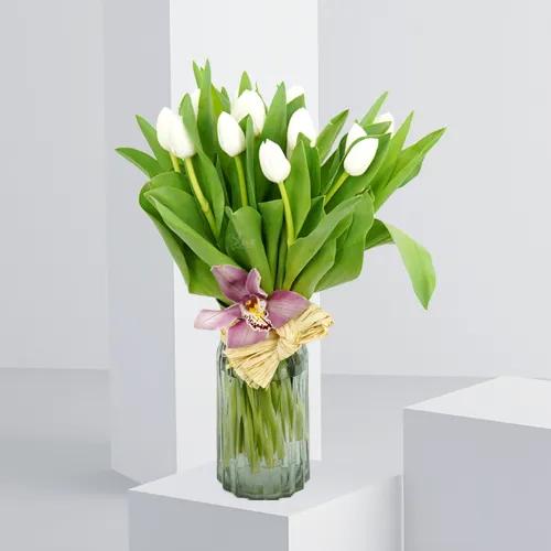 Blanche Tulipa - 4078