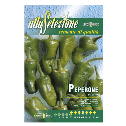 Alta Pepper 0.30Gm Aso 97-38