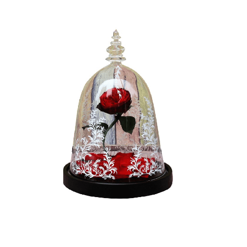 Beauty And The Beast Rose With Fallen Petals In A Glass Dome