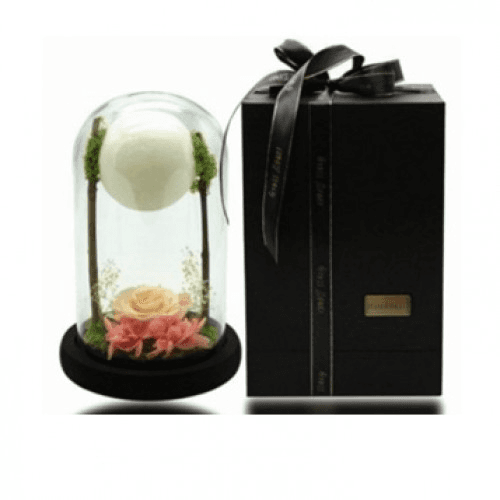 Peach Rose With Ball Light In A Glass Dome