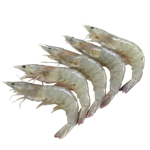 Shrimps Vannamie 20/30 _Approx 1Kg