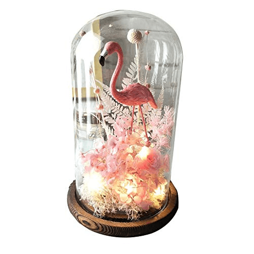 Flamingo Flower In Glass Dome