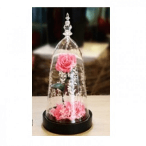 Beauty And The Beast Rose With Fallen Petals In A Glass Dome