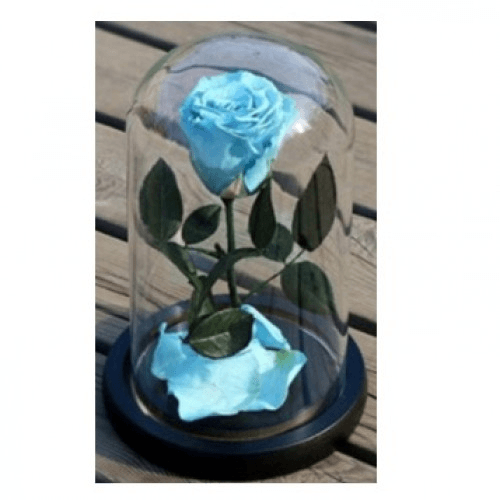 Light Blue Rose In A Glass Dome