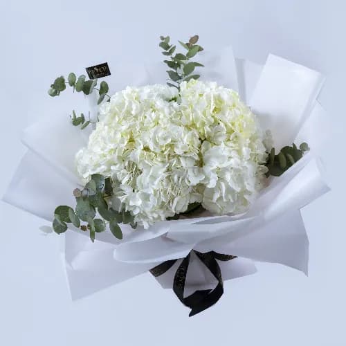 The White Hydrangea Bouquet