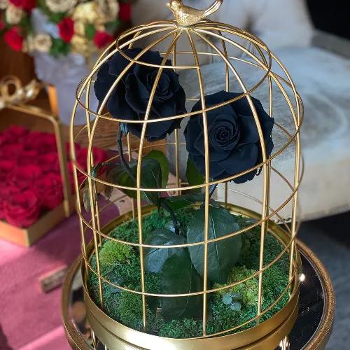 Bird Cage - Small Black